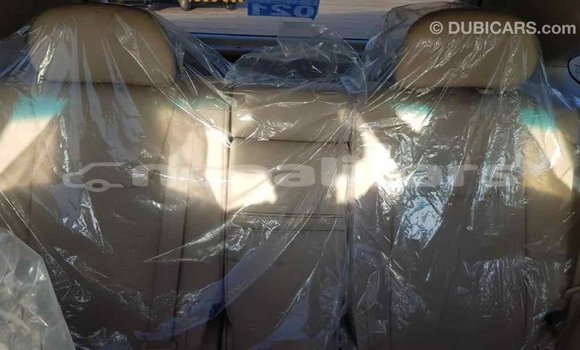 Buy Import Lexus RX 350 White Car in Import - Dubai in Bagmati Buy Import Lexus RX 350 White Car in Import - Dubai in Bagmati