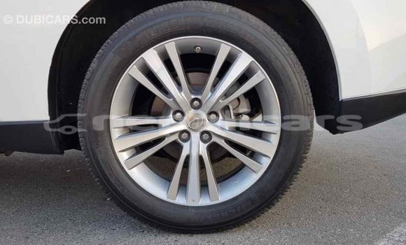 Buy Import Lexus RX 350 White Car in Import - Dubai in Bagmati Buy Import Lexus RX 350 White Car in Import - Dubai in Bagmati