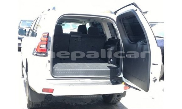 Buy Import Toyota Prado White Car in Import - Dubai in Bagmati Buy Import Toyota Prado White Car in Import - Dubai in Bagmati