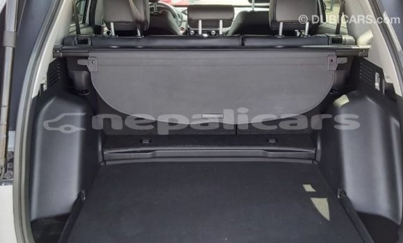 Buy Import Honda C Other Bike in Import - Dubai in Bagmati Buy Import Honda C Other Bike in Import - Dubai in Bagmati