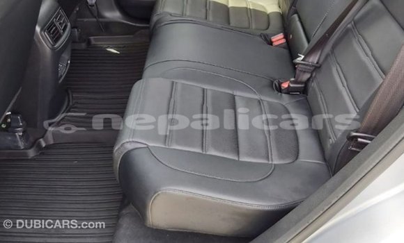 Buy Import Honda C Other Bike in Import - Dubai in Bagmati Buy Import Honda C Other Bike in Import - Dubai in Bagmati