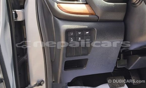 Buy Import Honda C Other Bike in Import - Dubai in Bagmati Buy Import Honda C Other Bike in Import - Dubai in Bagmati