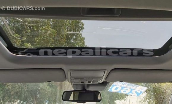 Buy Import Honda C Other Bike in Import - Dubai in Bagmati Buy Import Honda C Other Bike in Import - Dubai in Bagmati