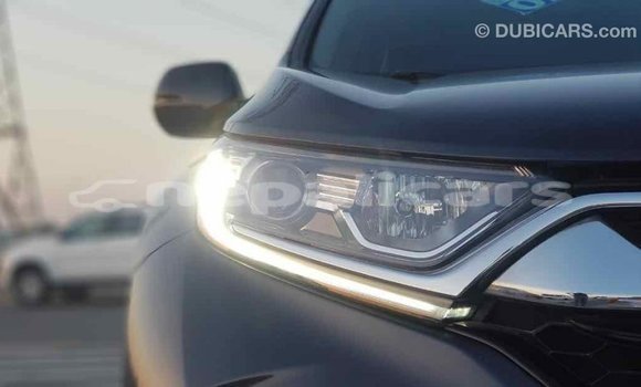 Buy Import Honda C Other Bike in Import - Dubai in Bagmati Buy Import Honda C Other Bike in Import - Dubai in Bagmati