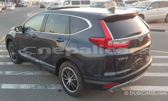 Buy Import Honda C Other Bike in Import - Dubai in Bagmati Buy Import Honda C Other Bike in Import - Dubai in Bagmati