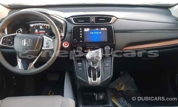 Buy Import Honda C Other Bike in Import - Dubai in Bagmati Buy Import Honda C Other Bike in Import - Dubai in Bagmati