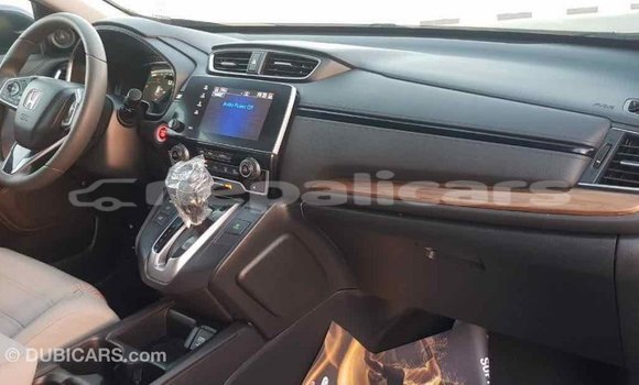 Buy Import Honda C Other Bike in Import - Dubai in Bagmati Buy Import Honda C Other Bike in Import - Dubai in Bagmati