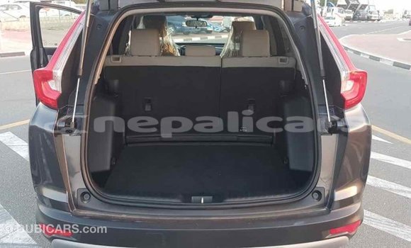 Buy Import Honda C Other Bike in Import - Dubai in Bagmati Buy Import Honda C Other Bike in Import - Dubai in Bagmati