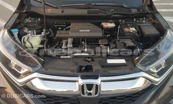 Buy Import Honda C Other Bike in Import - Dubai in Bagmati Buy Import Honda C Other Bike in Import - Dubai in Bagmati