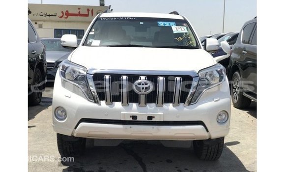 Buy Import Toyota Prado White Car in Import - Dubai in Bagmati Buy Import Toyota Prado White Car in Import - Dubai in Bagmati
