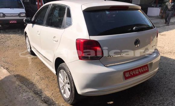 Buy Used Volkswagen Polo White Car in Kathmandu in Bagmati Buy Used Volkswagen Polo White Car in Kathmandu in Bagmati