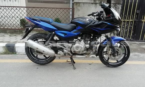 Buy Used Bajaj PULSAR Blue Bike in Kathmandu in Bagmati Buy Used Bajaj PULSAR Blue Bike in Kathmandu in Bagmati