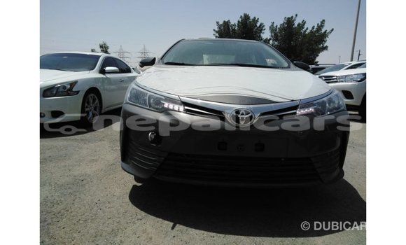 Buy Import Toyota Corolla Other Car in Import - Dubai in Bagmati Buy Import Toyota Corolla Other Car in Import - Dubai in Bagmati