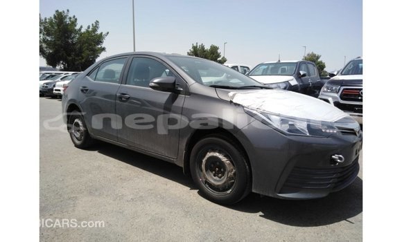 Buy Import Toyota Corolla Other Car in Import - Dubai in Bagmati Buy Import Toyota Corolla Other Car in Import - Dubai in Bagmati