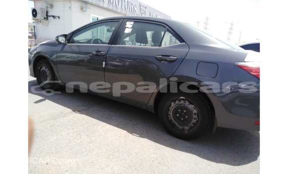 Buy Import Toyota Corolla Other Car in Import - Dubai in Bagmati Buy Import Toyota Corolla Other Car in Import - Dubai in Bagmati