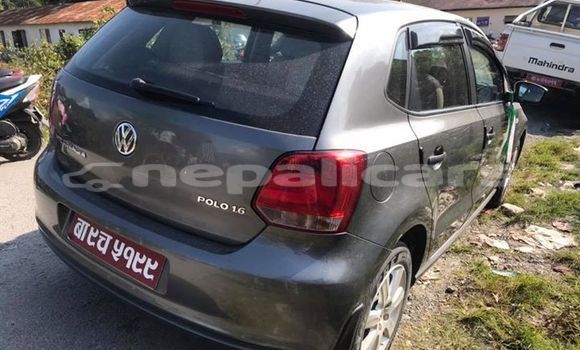 Buy Used Volkswagen Polo Other Car in Kathmandu in Bagmati Buy Used Volkswagen Polo Other Car in Kathmandu in Bagmati