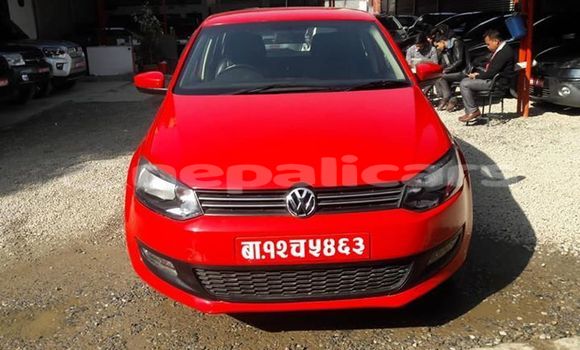 Buy Used Volkswagen Polo Red Car in Kathmandu in Bagmati