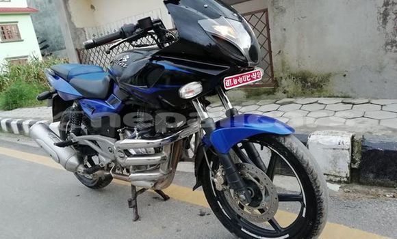 Buy Used Bajaj PULSAR Blue Bike in Kathmandu in Bagmati Buy Used Bajaj PULSAR Blue Bike in Kathmandu in Bagmati