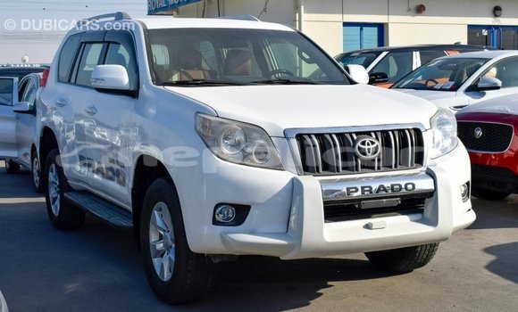 Buy Import Toyota Prado White Car in Import - Dubai in Bagmati Buy Import Toyota Prado White Car in Import - Dubai in Bagmati
