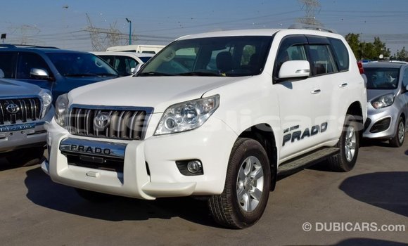 Buy Import Toyota Prado White Car in Import - Dubai in Bagmati Buy Import Toyota Prado White Car in Import - Dubai in Bagmati