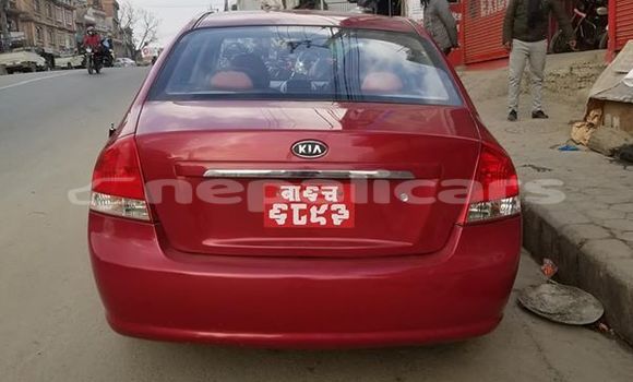 Buy Used Kia Cerato Red Car in Kathmandu in Bagmati Buy Used Kia Cerato Red Car in Kathmandu in Bagmati