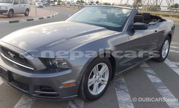 Buy Import Ford Mustang Other Car in Import - Dubai in Bagmati Buy Import Ford Mustang Other Car in Import - Dubai in Bagmati