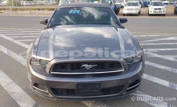 Buy Import Ford Mustang Other Car in Import - Dubai in Bagmati Buy Import Ford Mustang Other Car in Import - Dubai in Bagmati