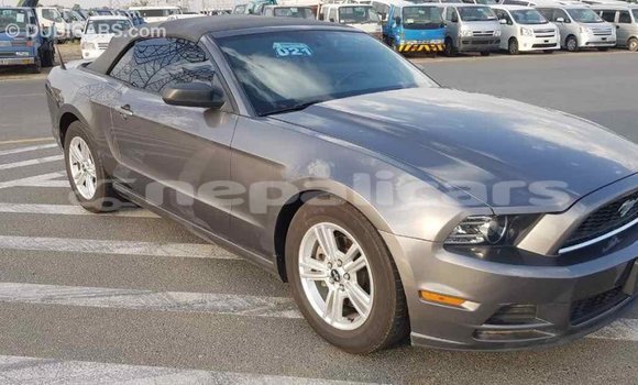 Buy Import Ford Mustang Other Car in Import - Dubai in Bagmati Buy Import Ford Mustang Other Car in Import - Dubai in Bagmati