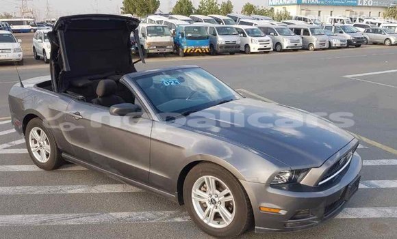 Buy Import Ford Mustang Other Car in Import - Dubai in Bagmati Buy Import Ford Mustang Other Car in Import - Dubai in Bagmati