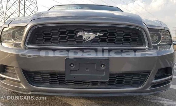 Buy Import Ford Mustang Other Car in Import - Dubai in Bagmati Buy Import Ford Mustang Other Car in Import - Dubai in Bagmati