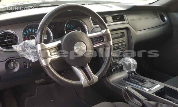 Buy Import Ford Mustang Other Car in Import - Dubai in Bagmati Buy Import Ford Mustang Other Car in Import - Dubai in Bagmati