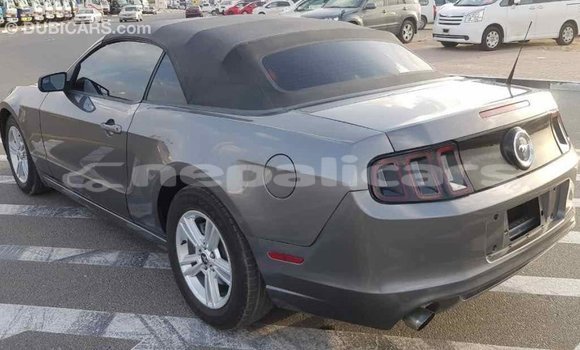 Buy Import Ford Mustang Other Car in Import - Dubai in Bagmati Buy Import Ford Mustang Other Car in Import - Dubai in Bagmati