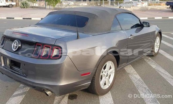 Buy Import Ford Mustang Other Car in Import - Dubai in Bagmati Buy Import Ford Mustang Other Car in Import - Dubai in Bagmati
