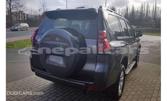 Buy Import Toyota Prado Black Car in Import - Dubai in Bagmati Buy Import Toyota Prado Black Car in Import - Dubai in Bagmati
