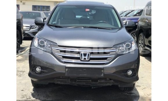 Buy Import Honda C Other Bike in Import - Dubai in Bagmati Buy Import Honda C Other Bike in Import - Dubai in Bagmati