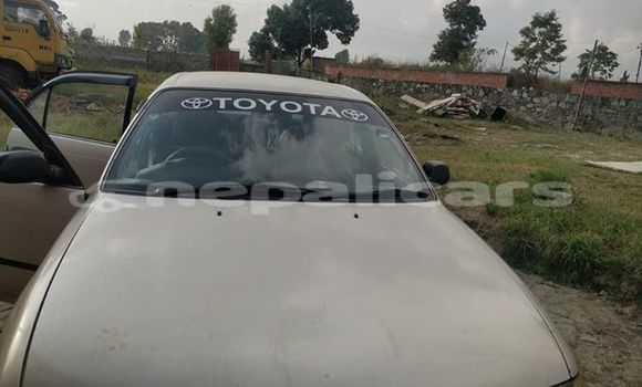 Buy Used Toyota Corolla Other Car in Kathmandu in Bagmati