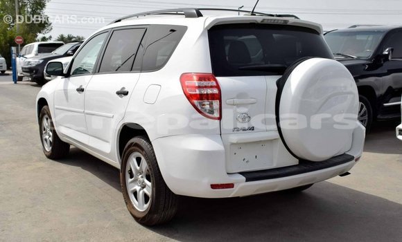 Buy Import Toyota 4Runner White Car in Import - Dubai in Bagmati Buy Import Toyota 4Runner White Car in Import - Dubai in Bagmati