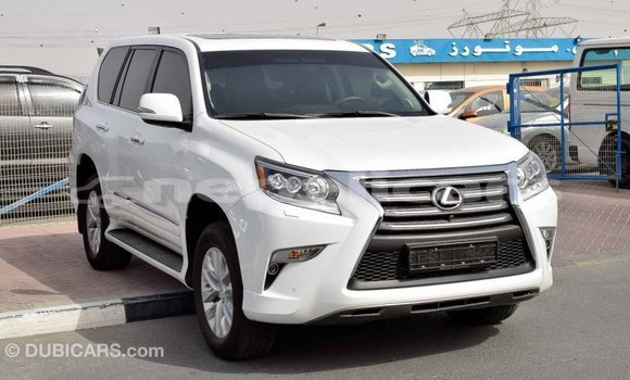 Buy Import Lexus GX White Car in Import - Dubai in Bagmati Buy Import Lexus GX White Car in Import - Dubai in Bagmati