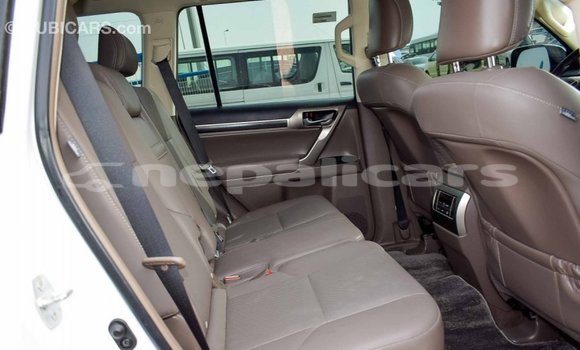 Buy Import Lexus GX White Car in Import - Dubai in Bagmati Buy Import Lexus GX White Car in Import - Dubai in Bagmati