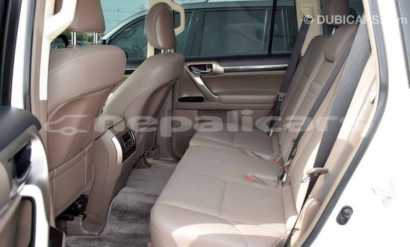 Buy Import Lexus GX White Car in Import - Dubai in Bagmati Buy Import Lexus GX White Car in Import - Dubai in Bagmati