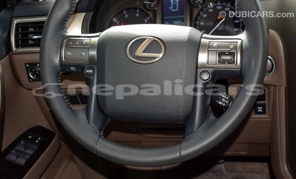 Buy Import Lexus GX White Car in Import - Dubai in Bagmati Buy Import Lexus GX White Car in Import - Dubai in Bagmati