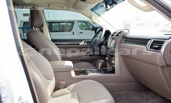 Buy Import Lexus GX White Car in Import - Dubai in Bagmati Buy Import Lexus GX White Car in Import - Dubai in Bagmati
