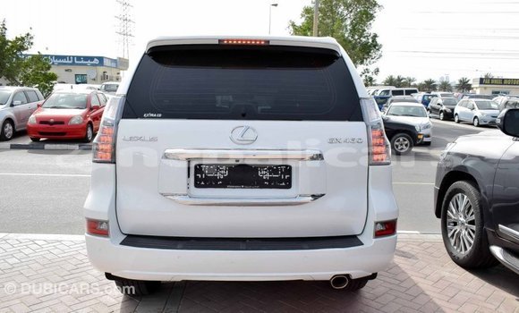 Buy Import Lexus GX White Car in Import - Dubai in Bagmati Buy Import Lexus GX White Car in Import - Dubai in Bagmati