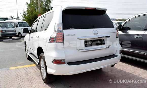 Buy Import Lexus GX White Car in Import - Dubai in Bagmati Buy Import Lexus GX White Car in Import - Dubai in Bagmati
