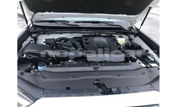 Buy Import Toyota 4Runner White Car in Import - Dubai in Bagmati Buy Import Toyota 4Runner White Car in Import - Dubai in Bagmati