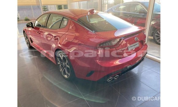 Buy Import Kia Stinger Red Car in Import - Dubai in Bagmati Buy Import Kia Stinger Red Car in Import - Dubai in Bagmati