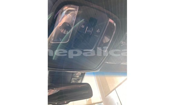 Buy Import Kia Stinger Red Car in Import - Dubai in Bagmati Buy Import Kia Stinger Red Car in Import - Dubai in Bagmati