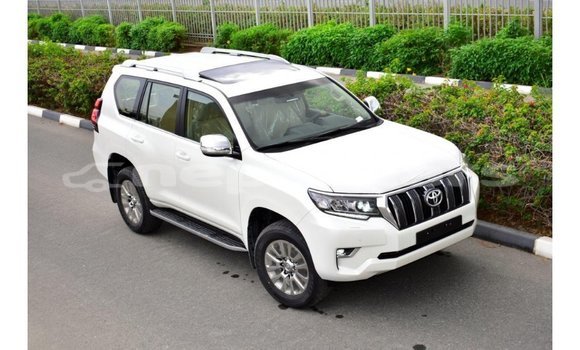 Buy Import Toyota Prado White Car in Import - Dubai in Bagmati Buy Import Toyota Prado White Car in Import - Dubai in Bagmati