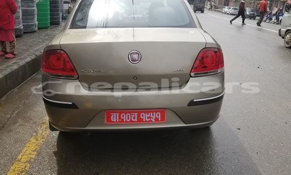 Buy Used Fiat Linea Beige Car in Kathmandu in Bagmati Buy Used Fiat Linea Beige Car in Kathmandu in Bagmati