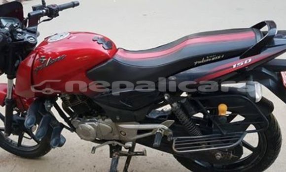 Buy Used Bajaj PULSAR Red Bike in Kathmandu in Bagmati Buy Used Bajaj PULSAR Red Bike in Kathmandu in Bagmati